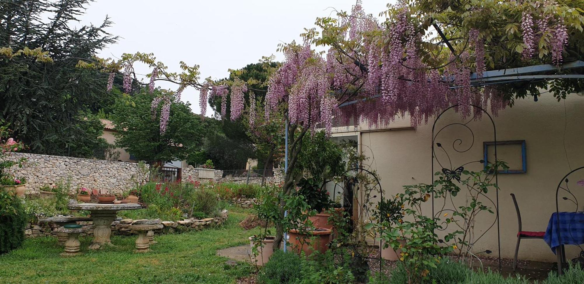 Pause Couleur Lavandula Roussas Kültér fotó